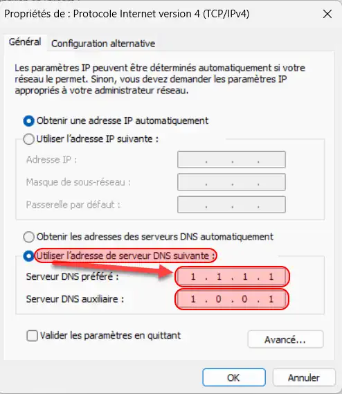 Cloudflare DNS choix des DNS 1.1.1.1 et 1.0.0.1