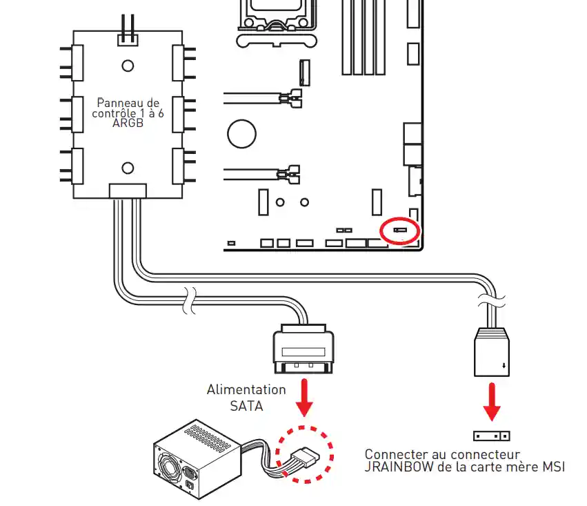 Connecter au connecteur JRAINBOW de la carte mère MS